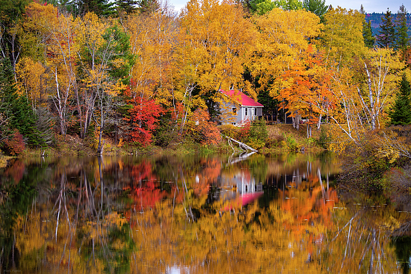Reflection Of Perfection by Mark Papke Reflection Of Perfection by Mark Papke